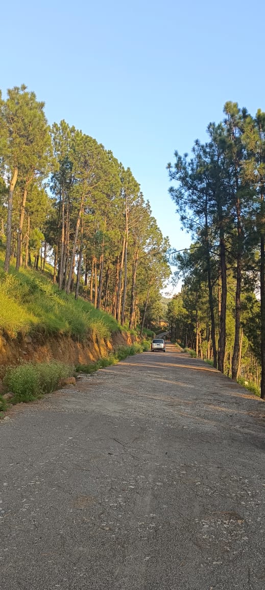 Hill City | Abbottabad