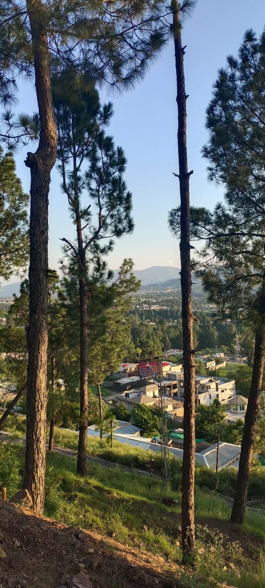 Hill City | Abbottabad