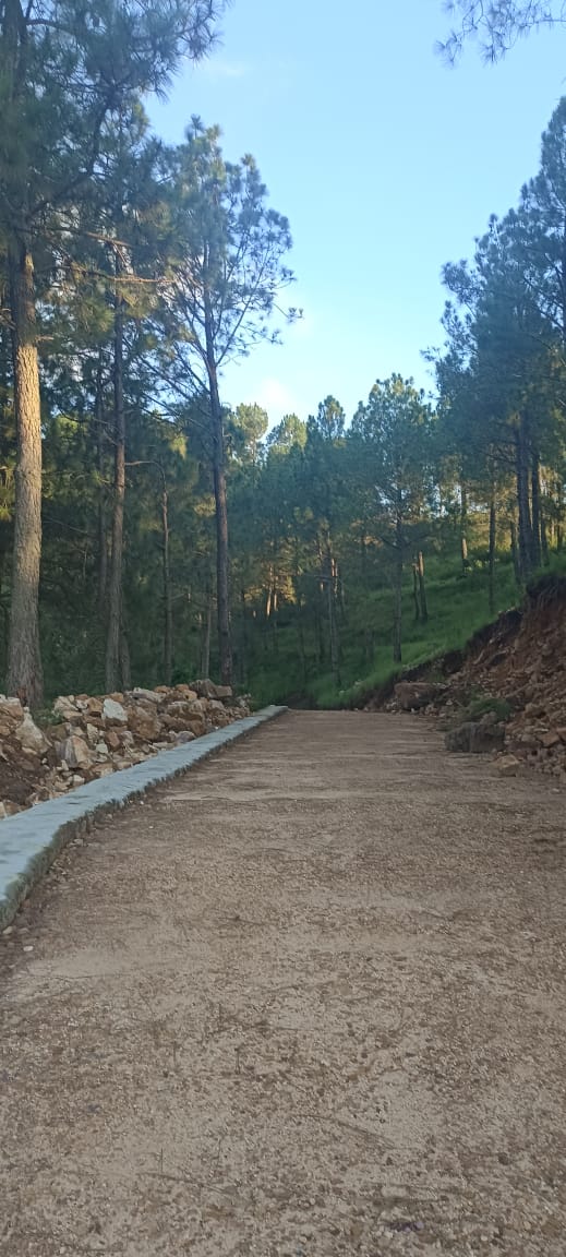 Hill City | Abbottabad