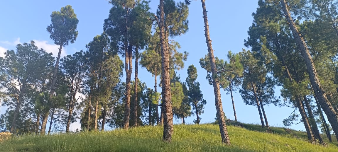 Hill City | Abbottabad