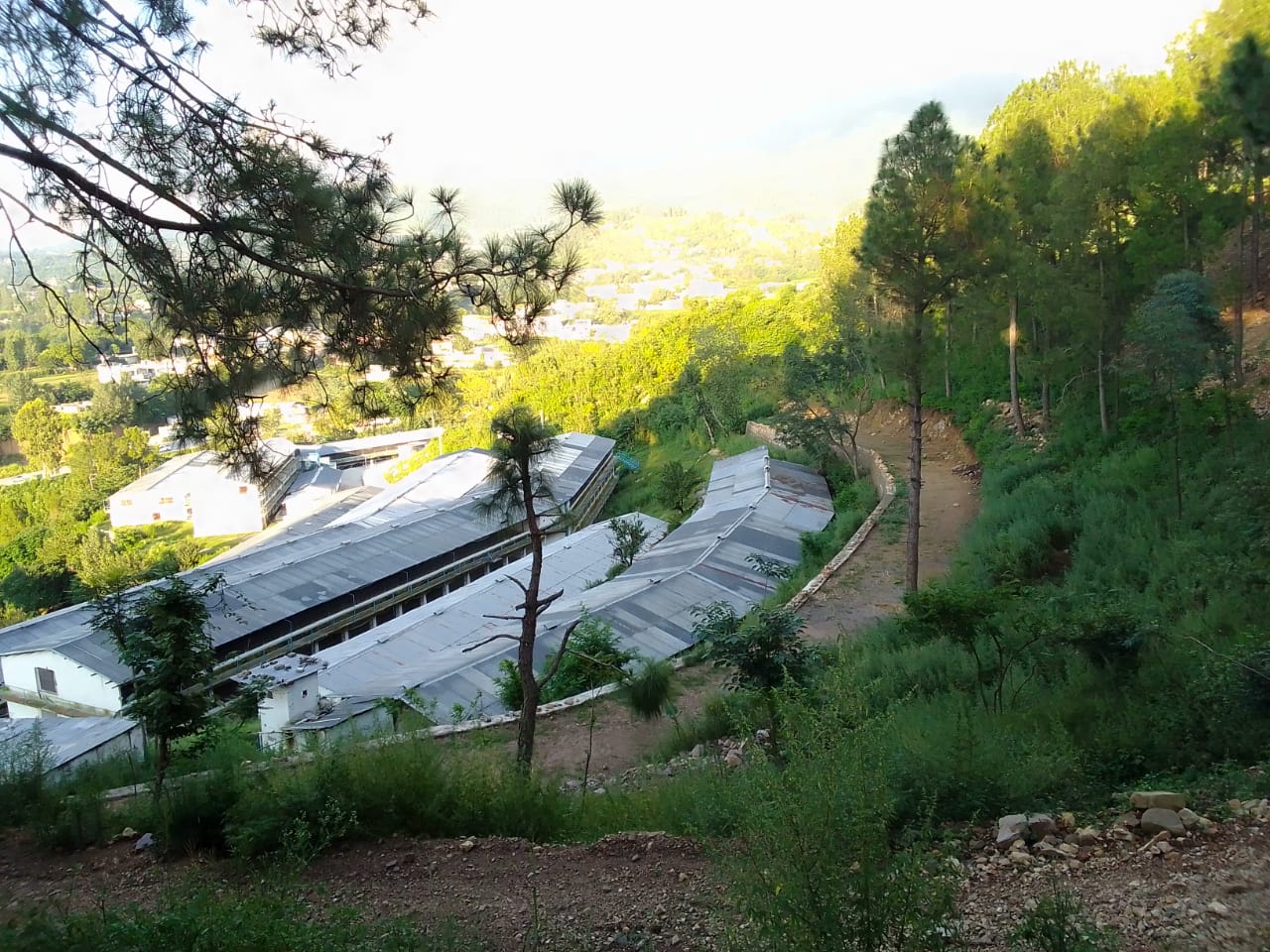 Hill City | Abbottabad