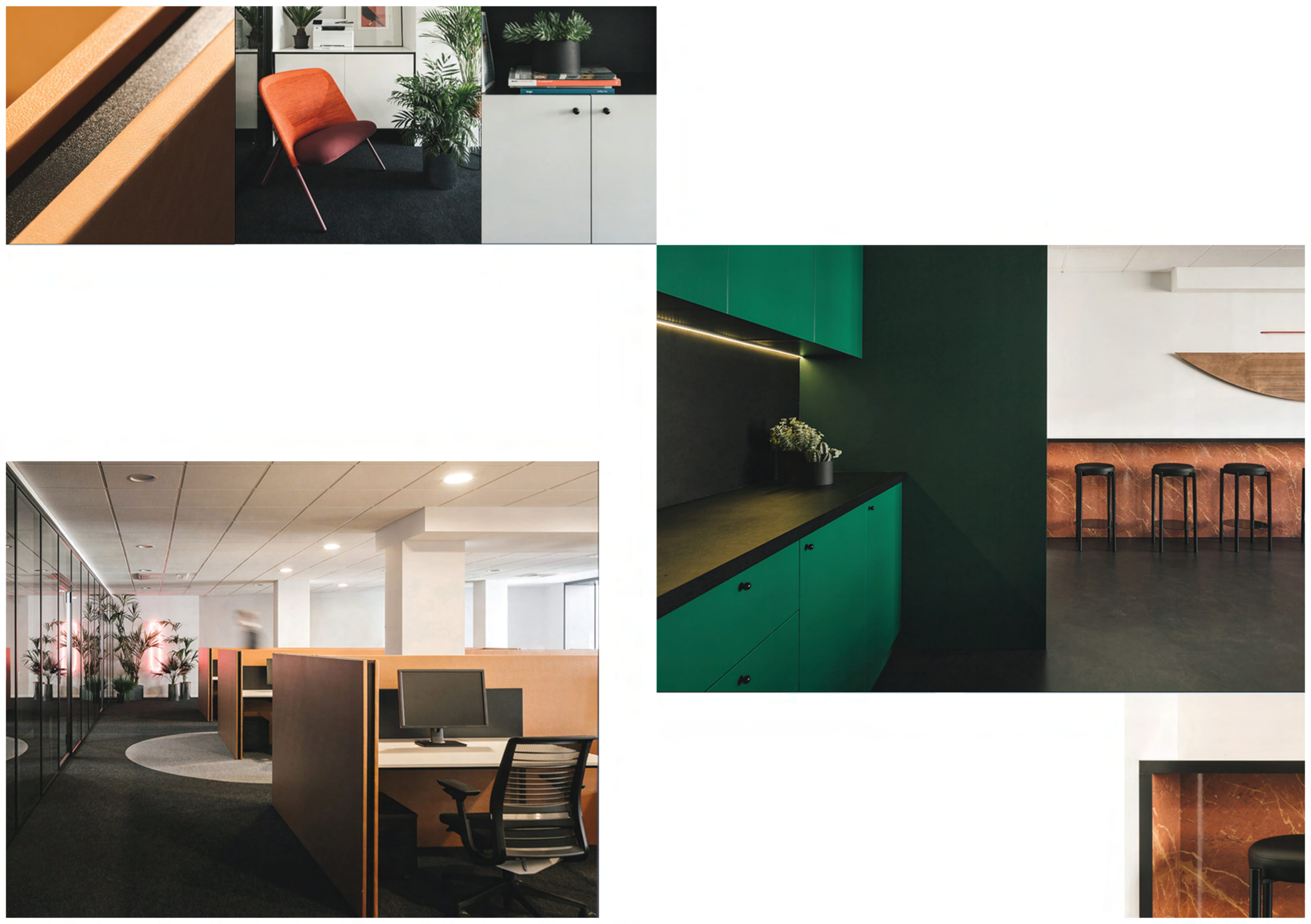 Allegiance | G-9 | Jinnah Avenue | Islamabad