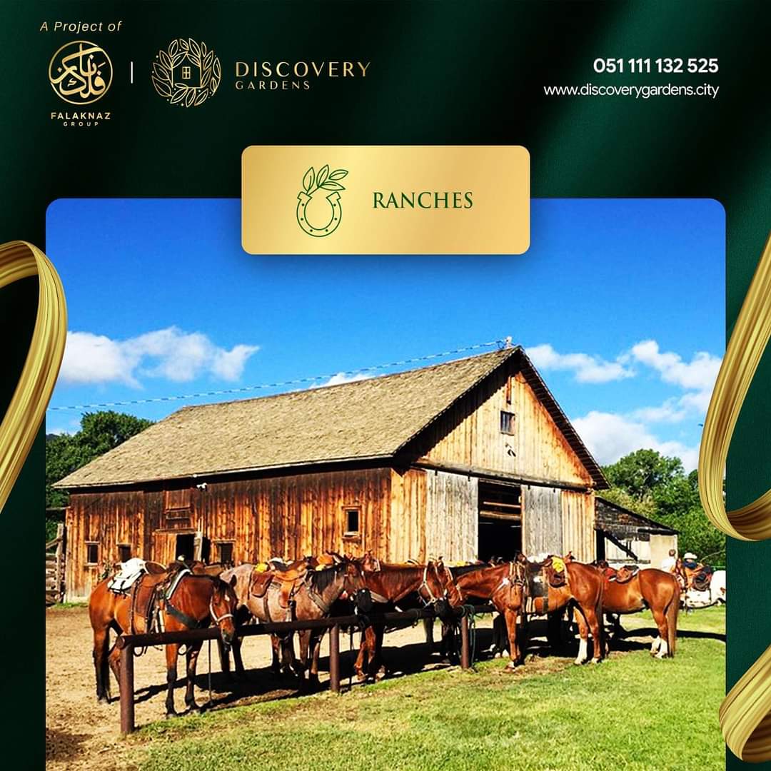 Discovery Gardens | M2 Motorway