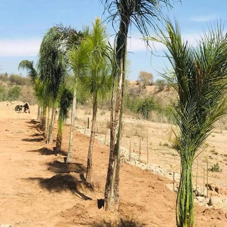 GREEN PAKISTAN AGRO FARM HOUSES | NEELAH DULLAH | CHAKRI