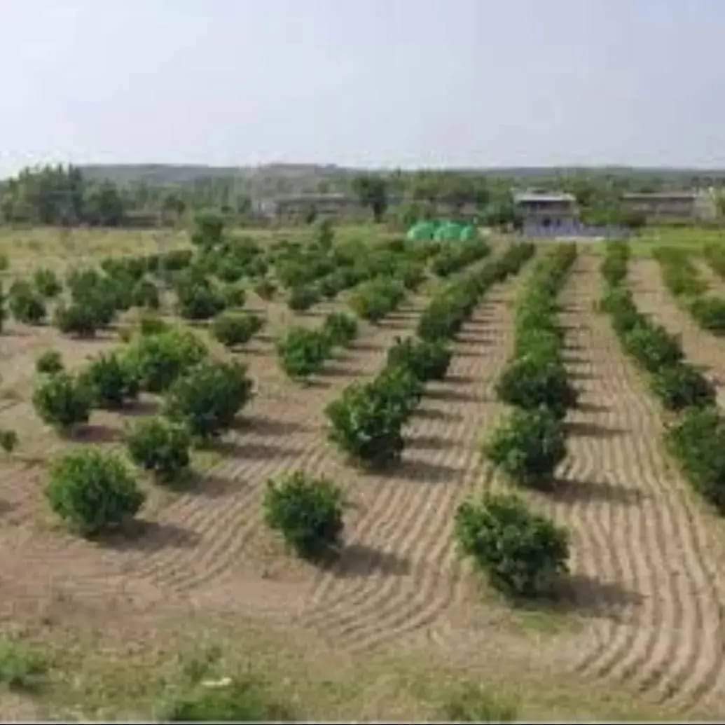 GREEN PAKISTAN AGRO FARM HOUSES | NEELAH DULLAH | CHAKRI